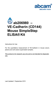 ab206980  – VE-Cadherin (CD144) Mouse SimpleStep ELISA®