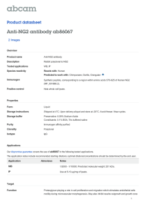 Anti-NG2 antibody ab86067 Product datasheet 2 Images
