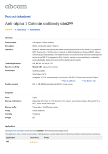 Anti-alpha 1 Catenin antibody ab6299 Product datasheet 1 Abreviews Overview