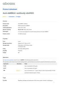 Anti-AMBRA1 antibody ab69501 Product datasheet 1 Abreviews 3 Images