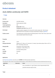 Anti-ARSA antibody ab76890 Product datasheet 1 Image