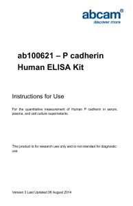 ab100621 – P cadherin Human ELISA Kit Instructions for Use