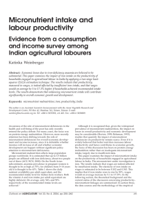 Micronutrient intake and labour productivity Evidence from a consumption and income survey among