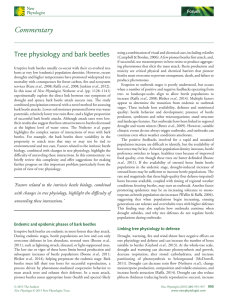 Commentary Tree physiology and bark beetles