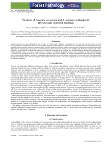 Virulence of Fusarium oxysporum and F. commune to Douglas-ﬁr