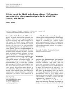 Habitat use of the Rio Grande silvery minnow (Hybognathus
