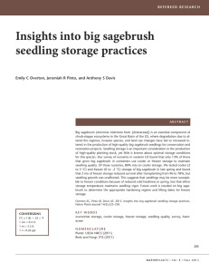 Insights into big sagebrush seedling storage practices