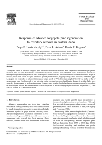 Response of advance lodgepole pine regeneration Tanya E. Lewis Murphy