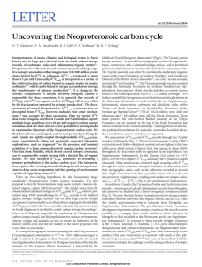 LETTER Uncovering the Neoproterozoic carbon cycle