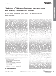 Fabrication of Bioinspired Actuated Nanostructures with Arbitrary Geometry and Stiffness Joanna Aizenberg*