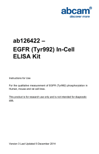 ab126422 – EGFR (Tyr992) In-Cell ELISA Kit