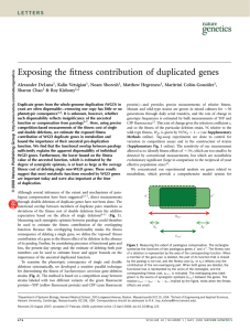 Exposing the fitness contribution of duplicated genes