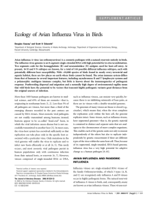 Ecology of Avian Influenza Virus in Birds Douglas Causey