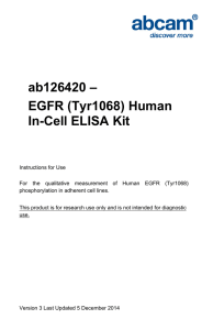 ab126420 – EGFR (Tyr1068) Human In-Cell ELISA Kit