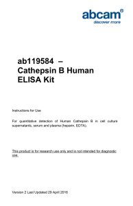 ab119584  – Cathepsin B Human ELISA Kit