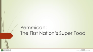Pemmican: The First Nation’s Super Food