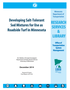 Developing Salt-Tolerant Sod Mixtures for Use as Roadside Turf in Minnesota