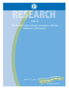 The Wildlife Value of Reed Canarygrass Infested Wetlands in Minnesota 2008-49