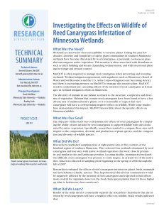 TECHNICAL RESEARCH Investigating the Effects on Wildlife of Reed Canarygrass Infestation of