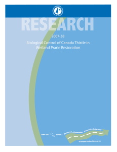 Biological Control of Canada Thistle in Wetland Prarie Restoration 2007-38