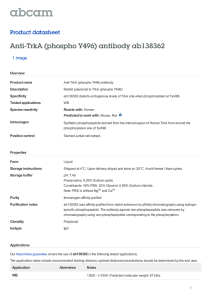 Anti-TrkA (phospho Y496) antibody ab138362 Product datasheet 1 Image Overview