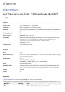 Anti-TrkA (phospho Y680 + Y681) antibody ab193229 Product datasheet 1 Image Overview