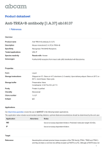 Anti-TRKA+B antibody [1.A.37] ab18137 Product datasheet 1 References Overview