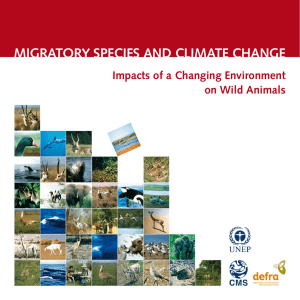 migratory species and climate change impacts of a changing environment
