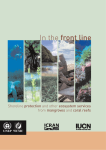 In the front line Shoreline protection and other ecosystem services
