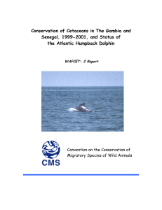 Conservation of Cetaceans in The Gambia and the Atlantic Humpback Dolphin