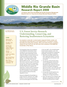 Middle Rio Grande Basin Research Report 2008