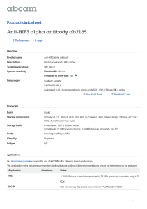 Anti-HIF3 alpha antibody ab2165 Product datasheet 2 References 1 Image