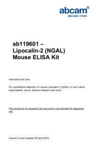 ab119601 – Lipocalin-2 (NGAL) Mouse ELISA Kit