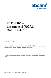 ab119602  – Lipocalin-2 (NGAL) Rat ELISA Kit