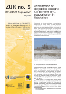 ZUR no. 5 Afforestation of degraded cropland – Co-benefits of C