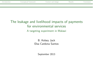 The leakage and livelihood impacts of payments for environmental services