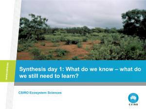 Synthesis day 1: What do we know – what do