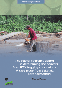 The role of collective action in determining the benefits