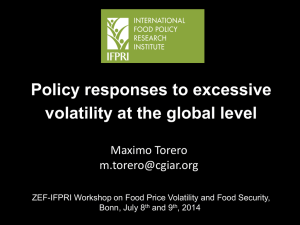 Policy responses to excessive volatility at the global level  Maximo Torero