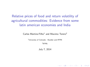 Relative prices of food and return volatility of