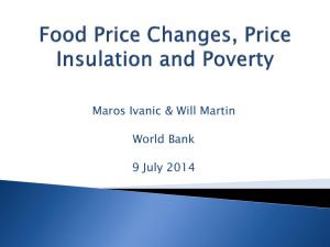 Maros Ivanic &amp; Will Martin  World Bank 9 July 2014