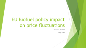 EU Biofuel policy impact on price fluctuations David Laborde July 2014