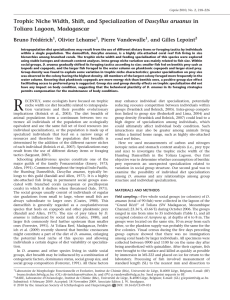 Trophic Niche Width, Shift, and Specialization of Dascyllus aruanus in