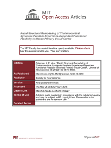 Rapid Structural Remodeling of Thalamocortical Synapses Parallels Experience-Dependent Functional