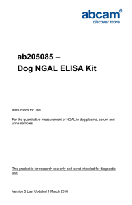 ab205085 – Dog NGAL ELISA Kit
