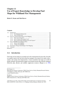 Use of Expert Knowledge to Develop Fuel Chapter  11