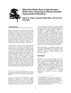 White Pine Blister Rust in High-Elevation White Pines: Screening for Simply-Inherited,