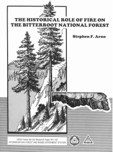 THE HISTORICAL ROLE OF FIRE ON THE BITTERROOT NATIONAL FOREST
