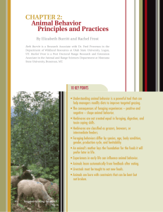 CHAPTER 2: Animal Behavior Principles and Practices By Elizabeth Burritt and Rachel Frost