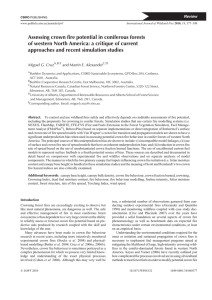 Assessing crown fire potential in coniferous forests